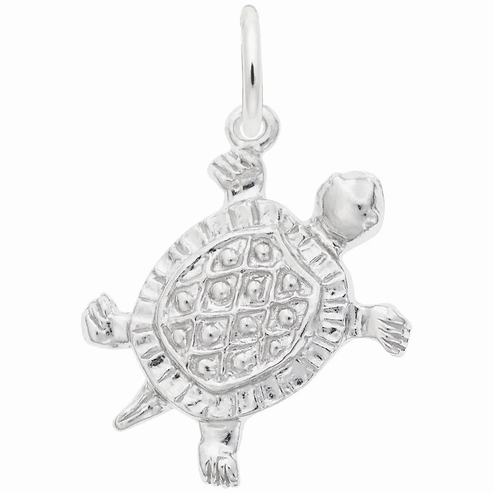 Charm - Turtle