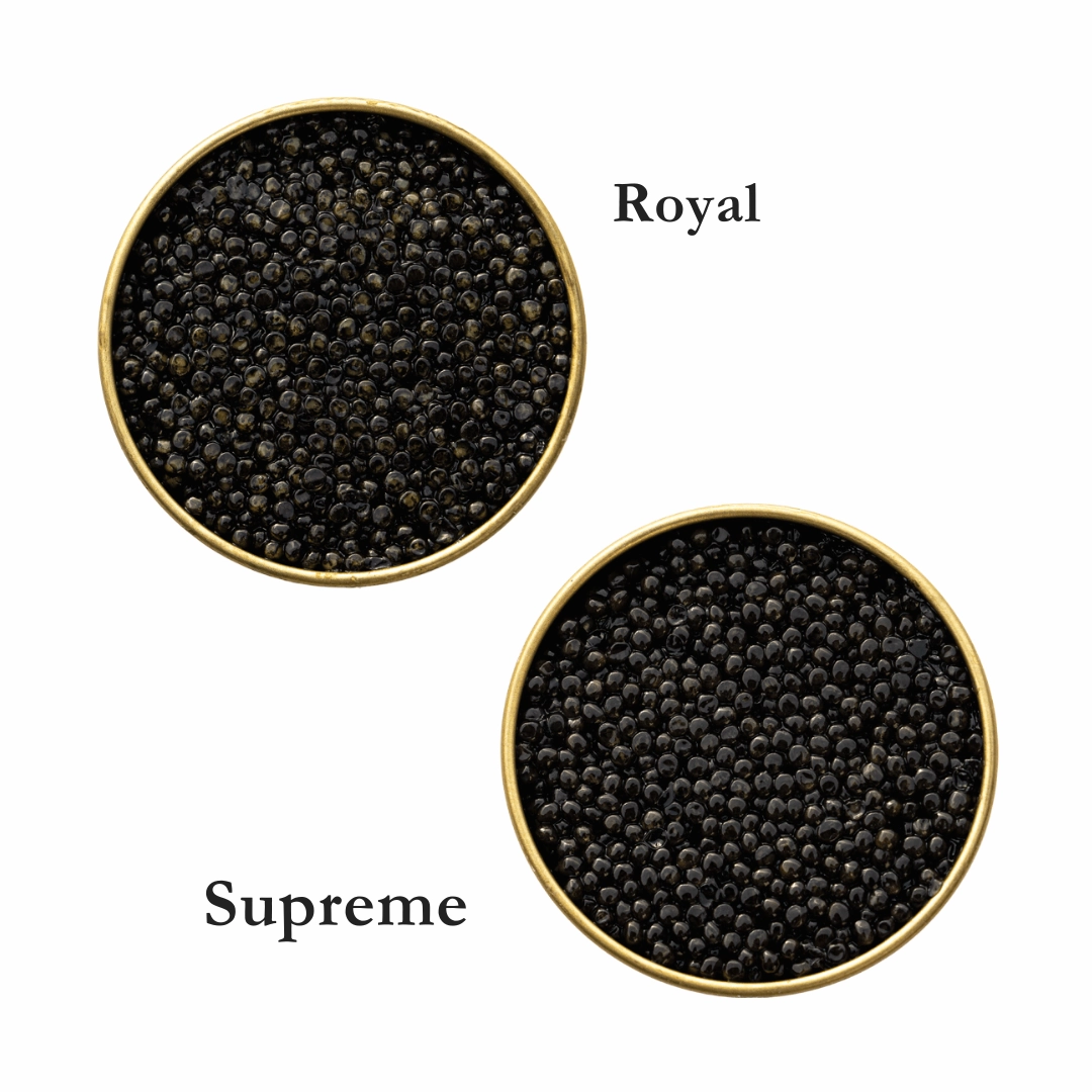 Mega Saver Royal & Supreme Bundles