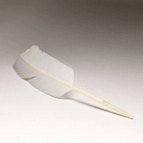 Quill Feather