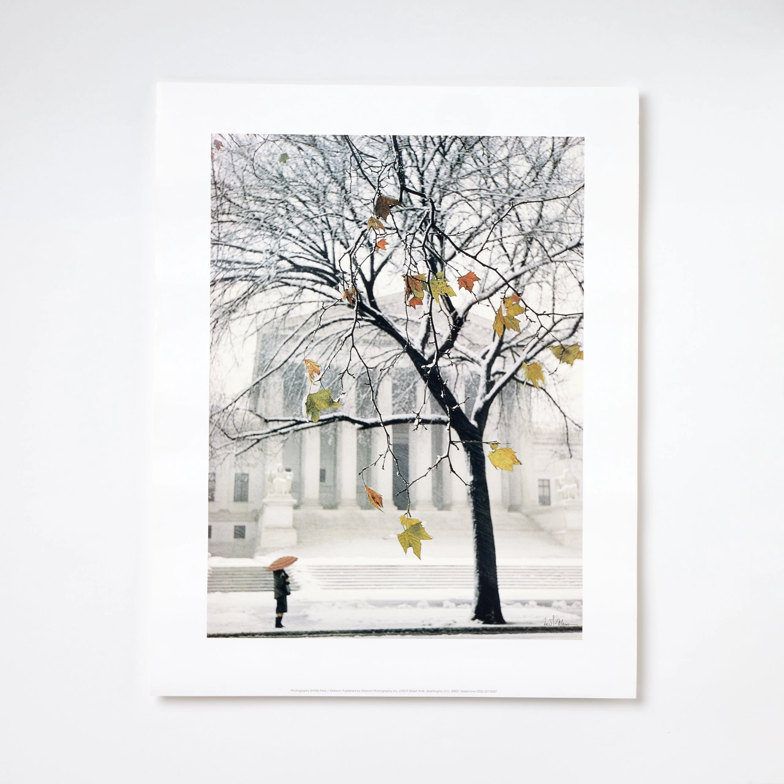 Supreme Court In Winter Poster