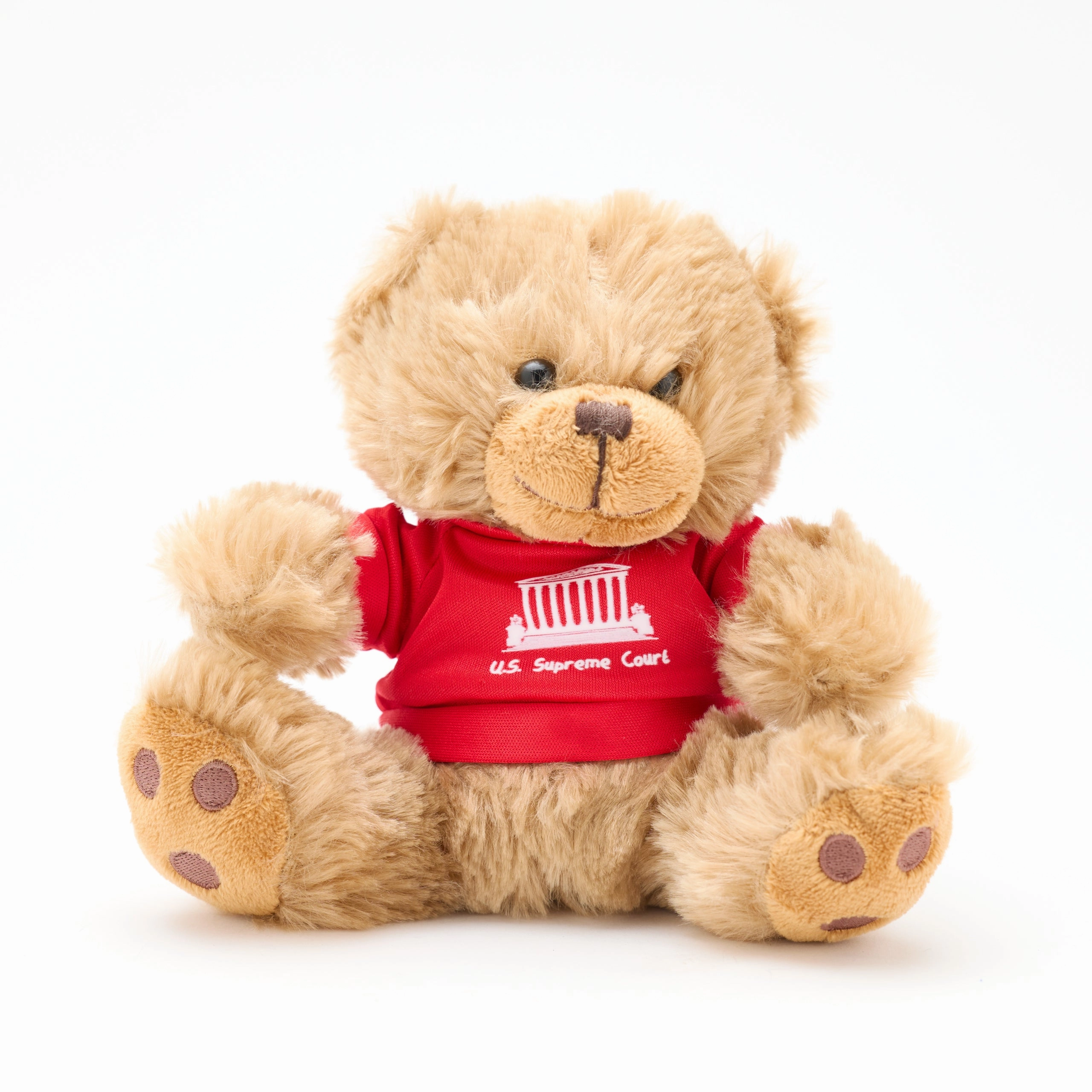 Supreme Court Teddy Bear